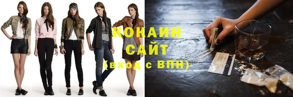 дживик Костерёво