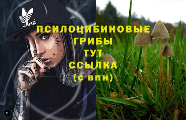 мефедрон мука Козловка