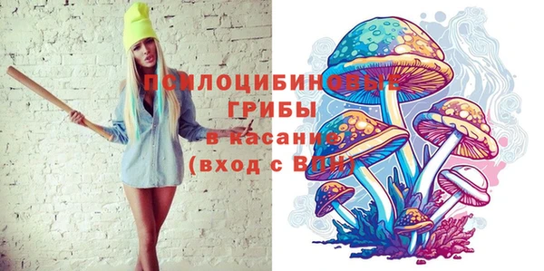 МДПВ Карталы