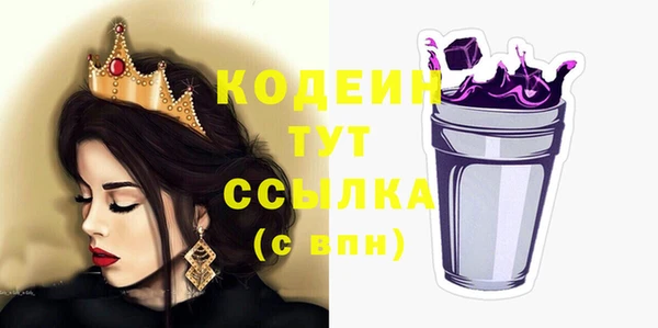 гашик Коряжма