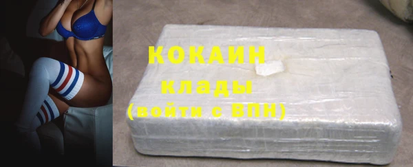 гашик Коряжма