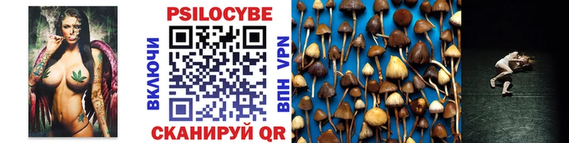 Галлюциногенные грибы MAGIC MUSHROOMS  как найти закладки  Магадан 