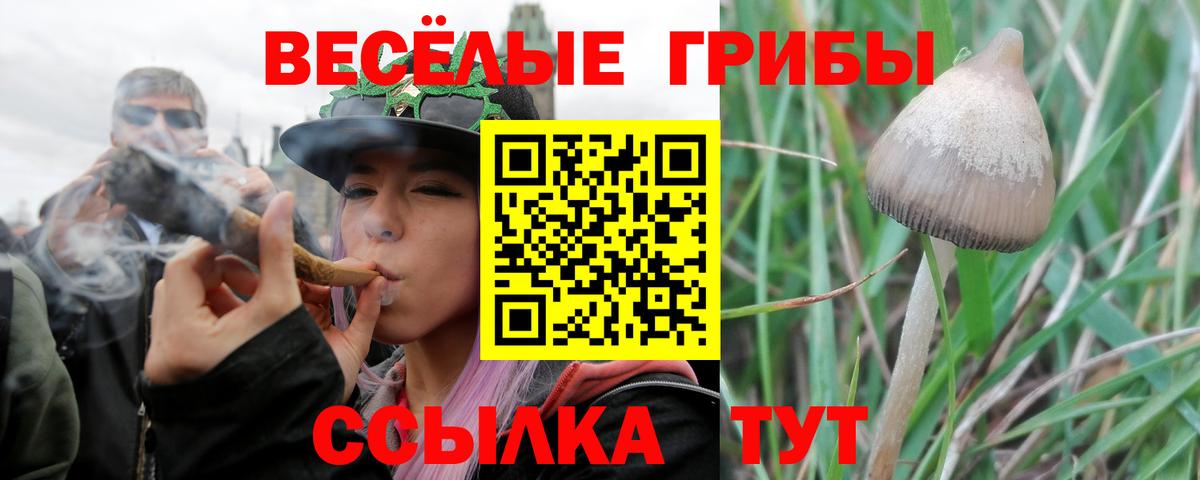 Магадан  Псилоцибиновые грибы Cubensis  Вход с VPN  Псилоцибиновые грибы прущие грибы 