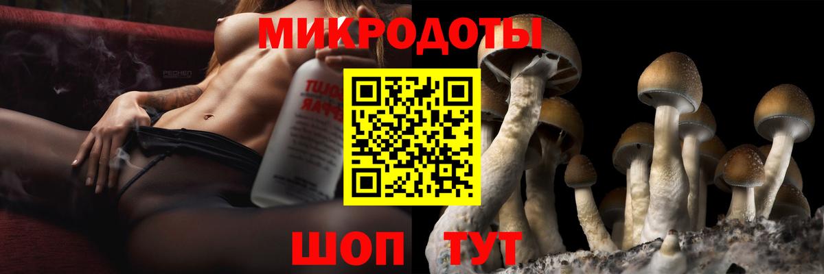 Галлюциногенные грибы Cubensis Магадан